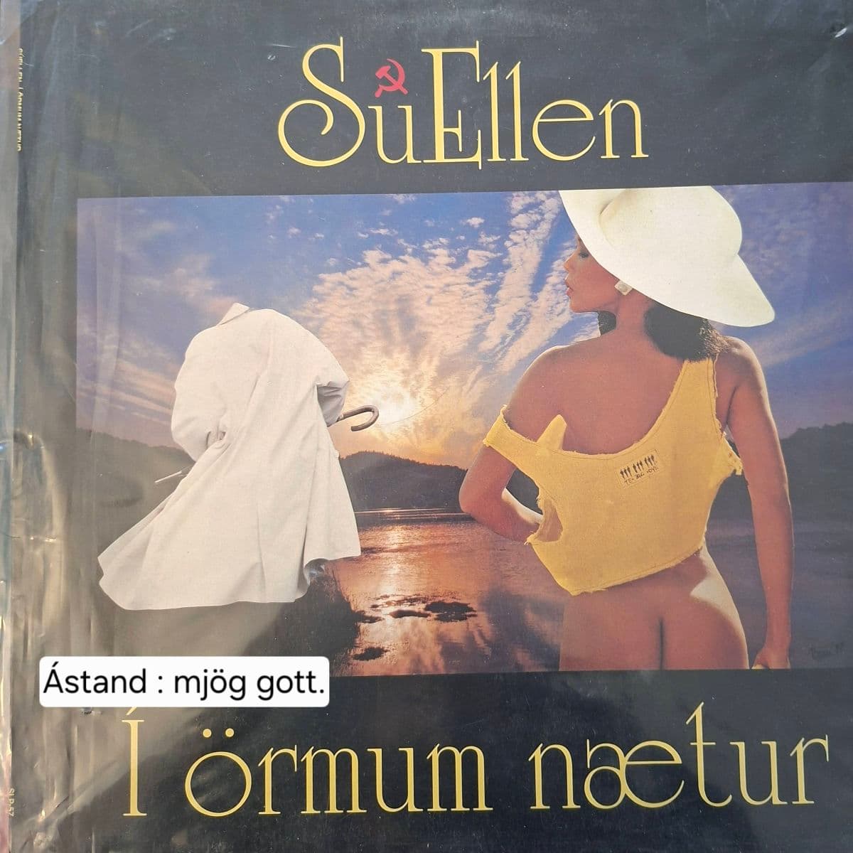 SuEllen - Í örmum nætur