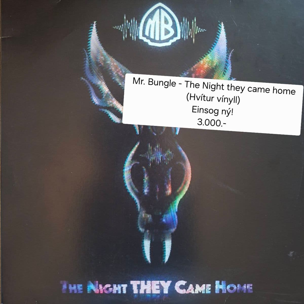 Mr. Bungle - The Night They Came Home