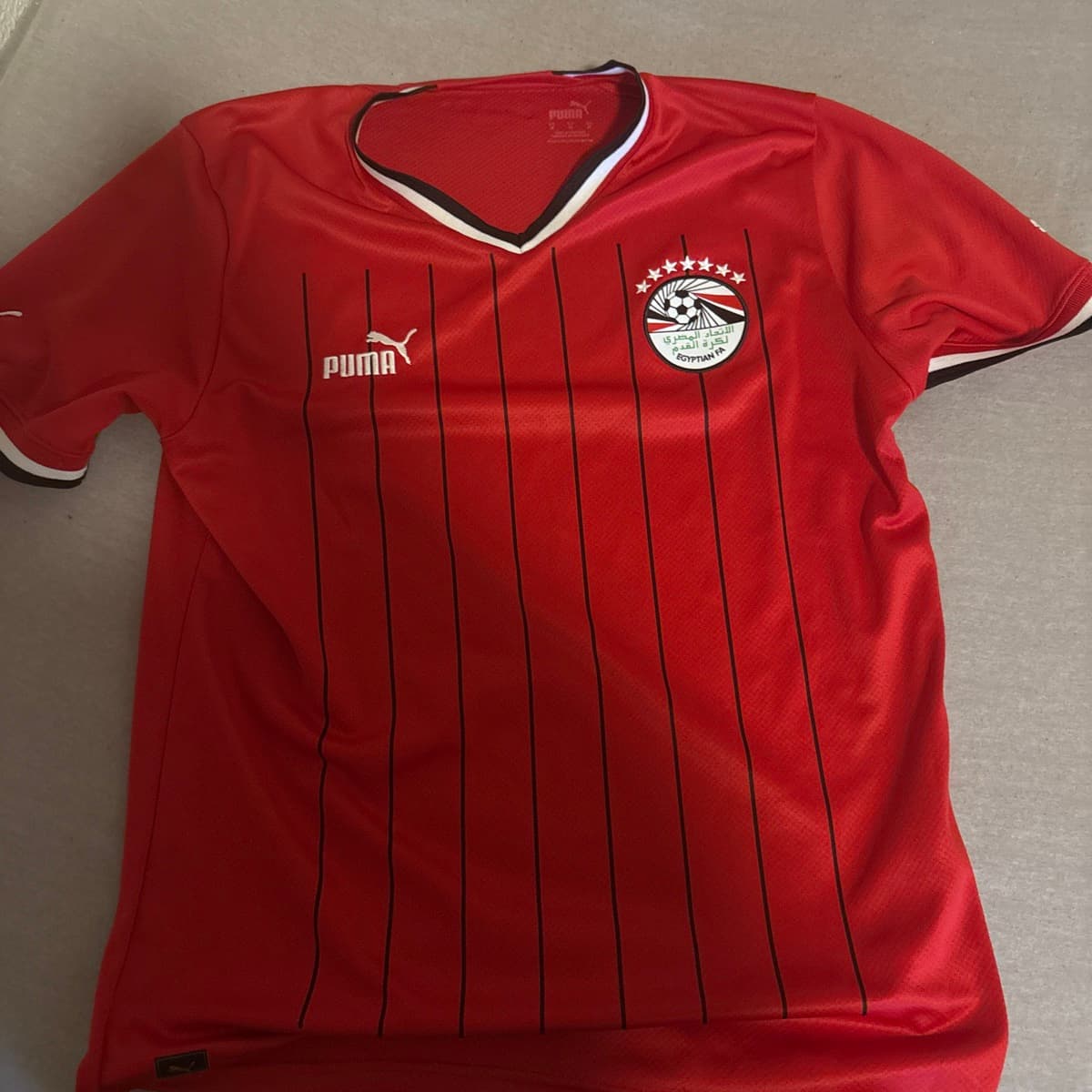 Puma egypska landsliðstreyjan