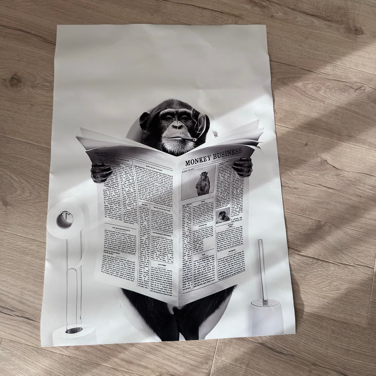 70x50 Svarthvítt plakat með simpansa