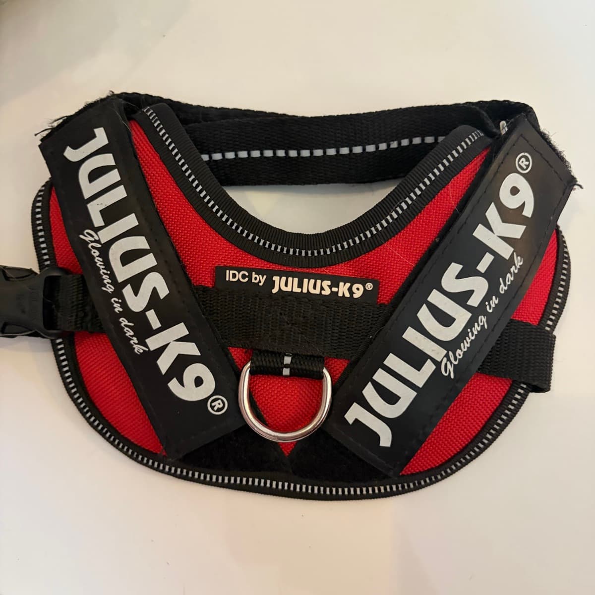 Julius-K9 hundabeisli