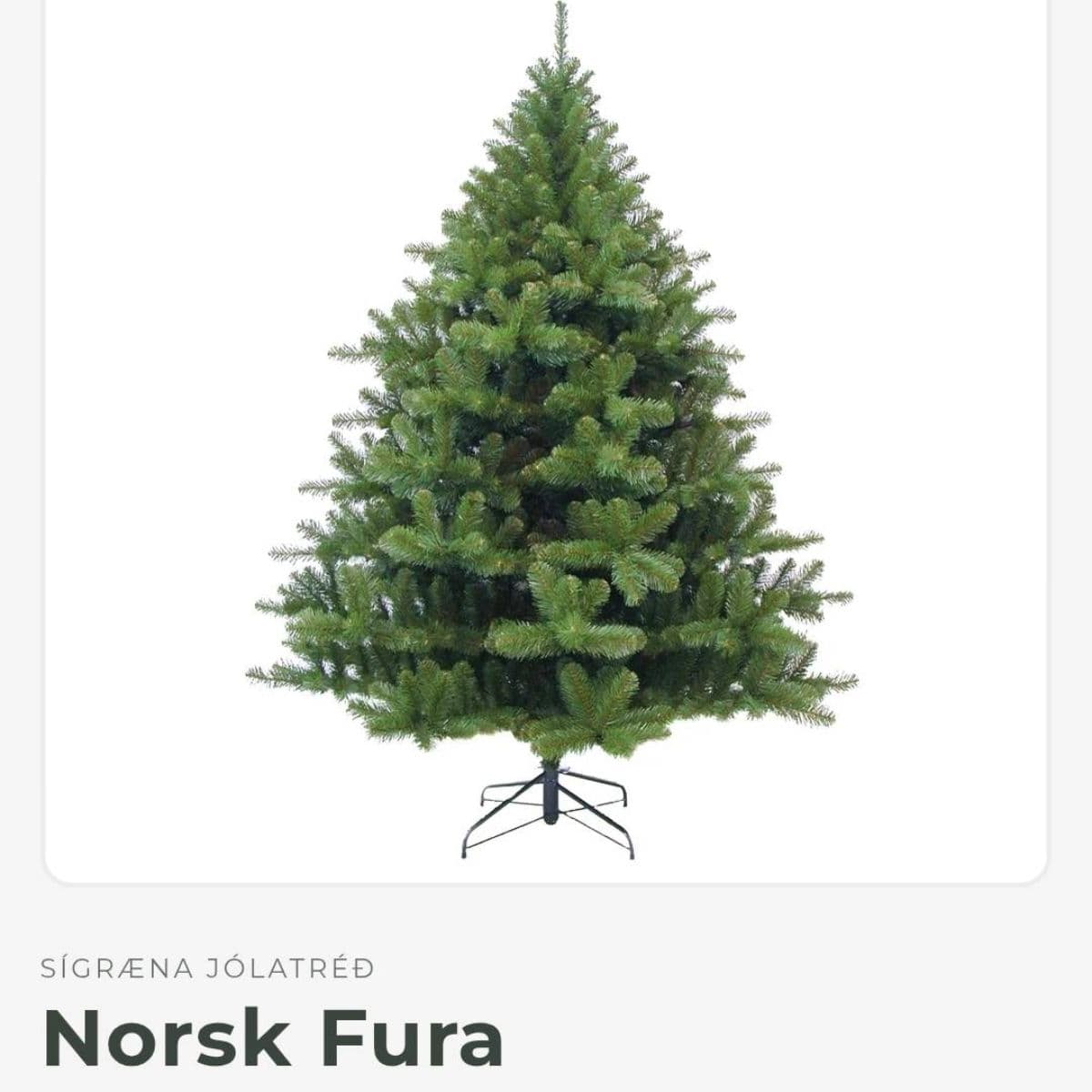 Sígræna Skáta tréð- Norsk fura gervijólatré 2,15m