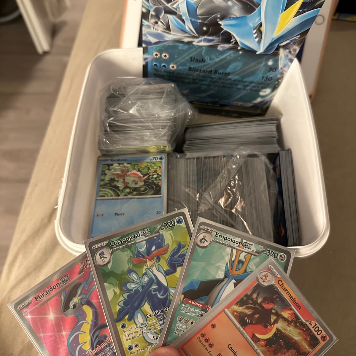 Pokémon STÓR BÚNKI