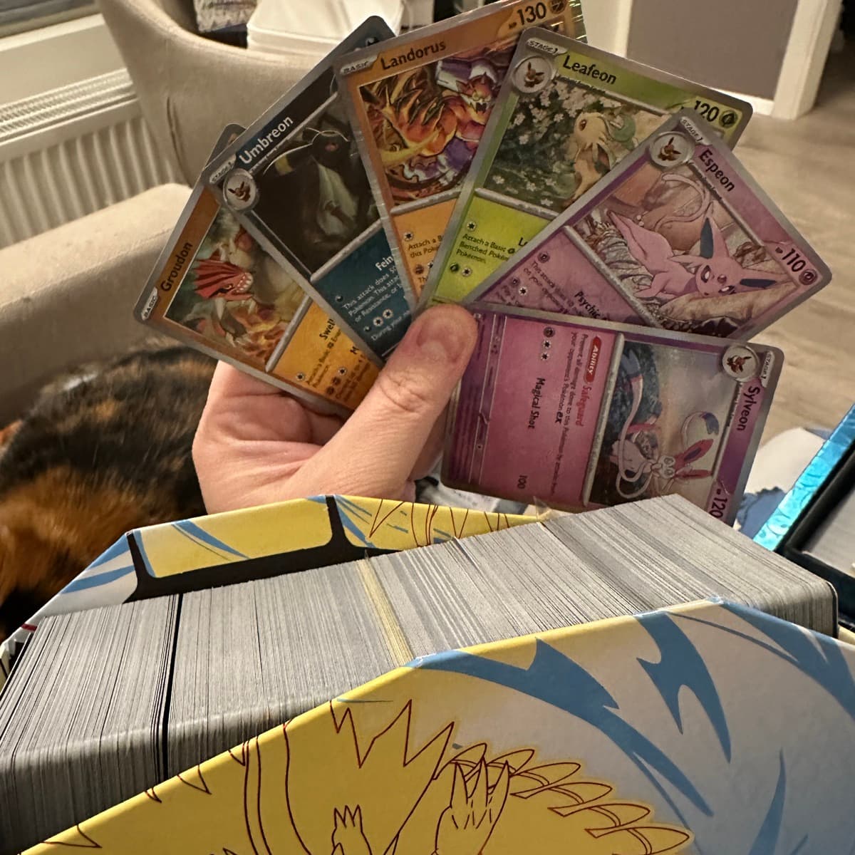 ⚡️Pokémon spil⚡️