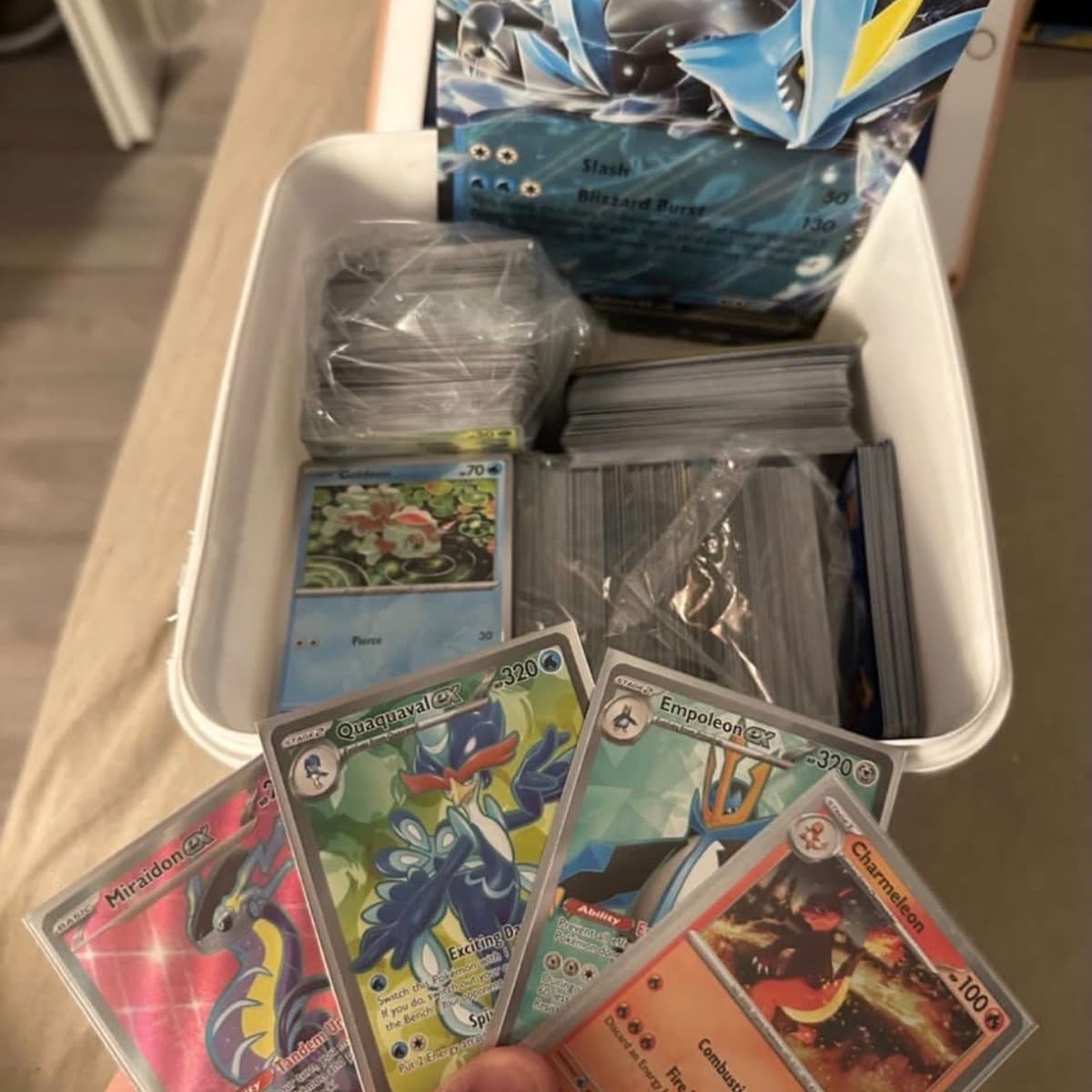RISA búnki af Pokémon spilum ⚡️