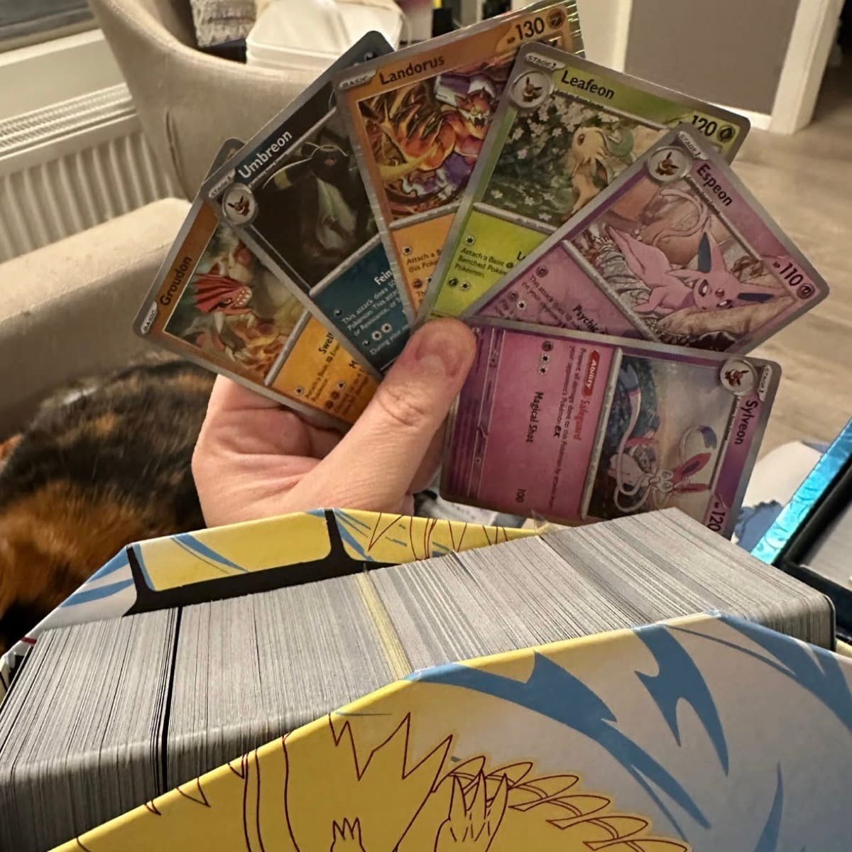 Pokèmon spil ódýrt