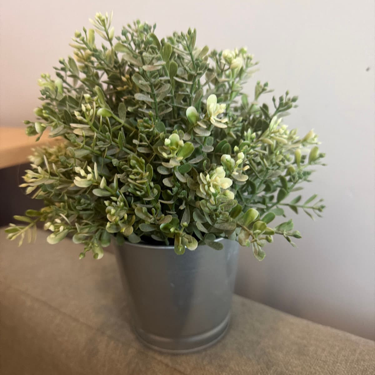 Gerviplanta í málmpotti