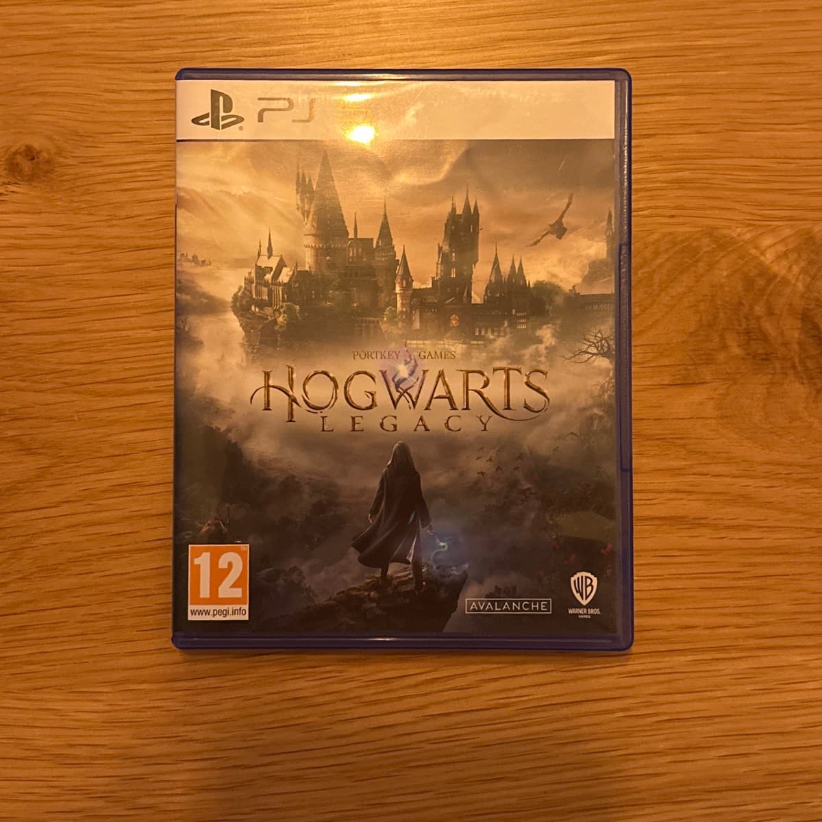 Hogwarts Legacy fyrir PS5