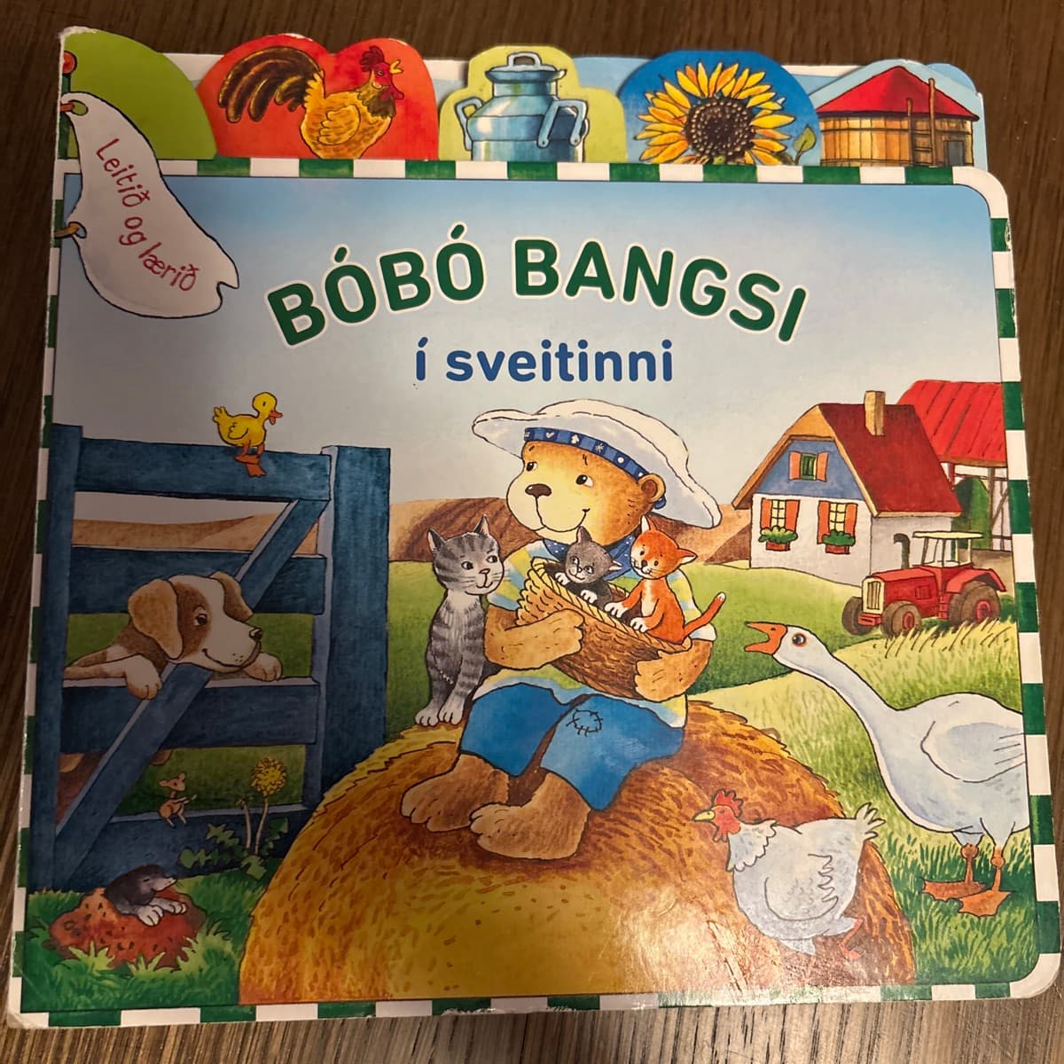 Harðspjalda bækur + baðbók