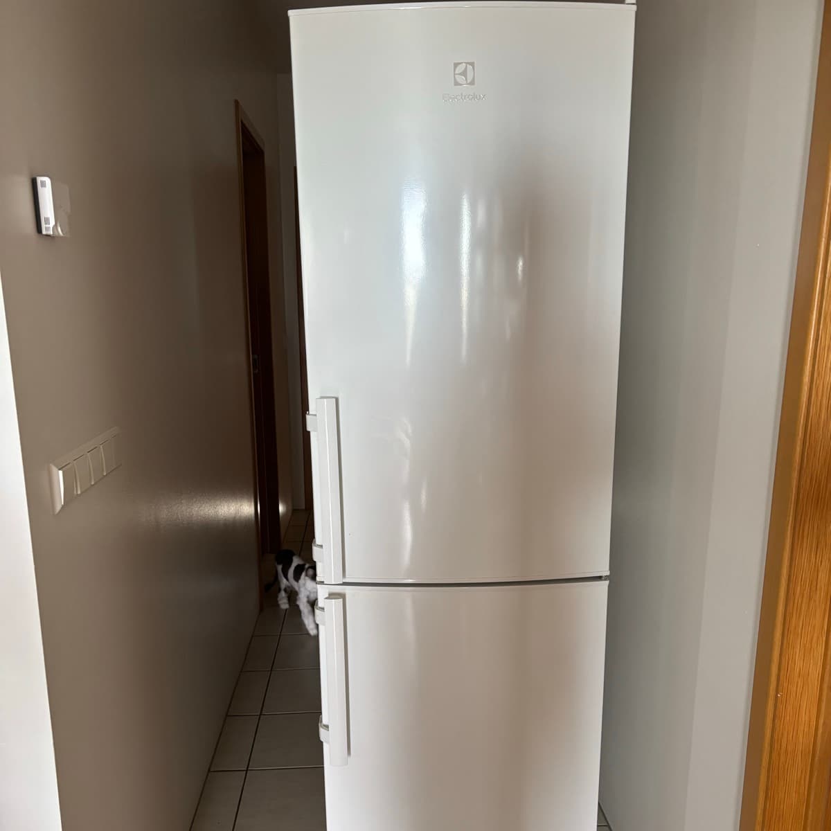 Electrolux kæliskápur með frysti
