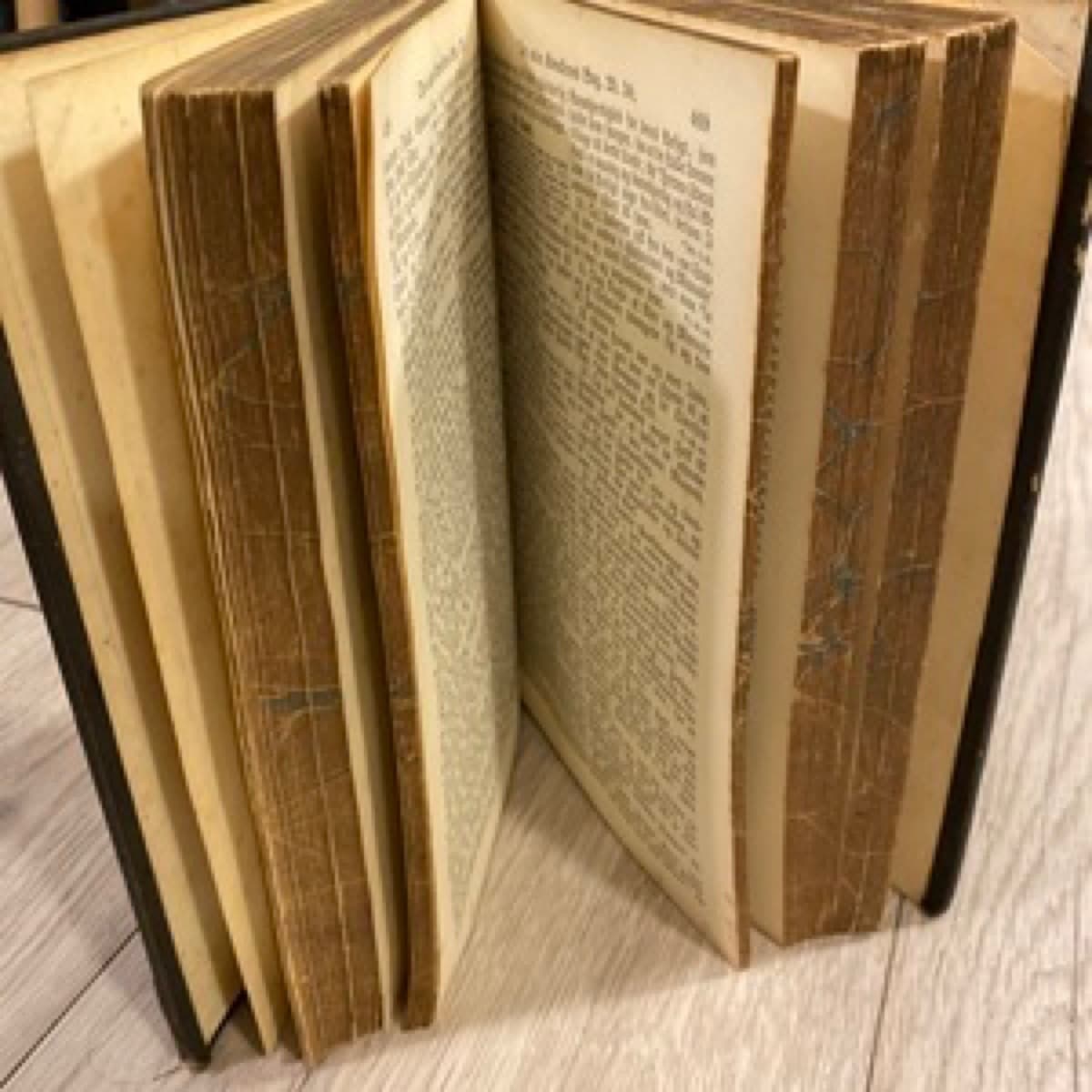 Antík Biblía frá 1889