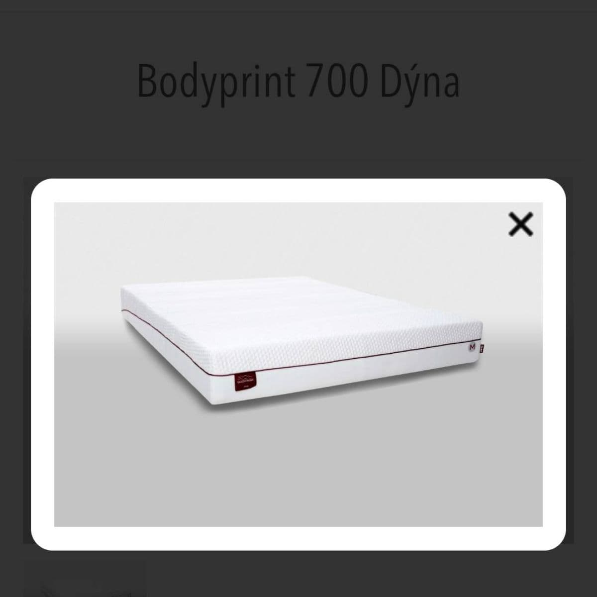 Bodyprint 700 heilsu dýna