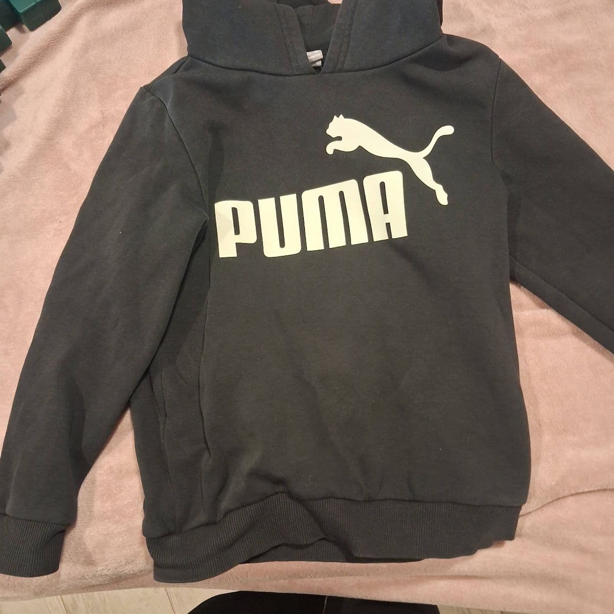 Puma hettupeysa