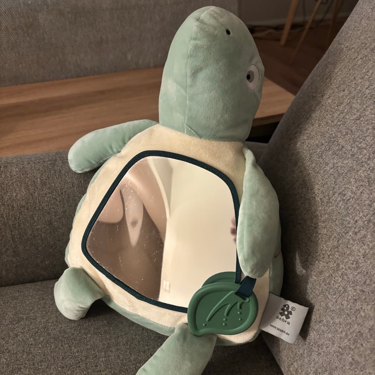 Sebra skjaldbaka með spegli
