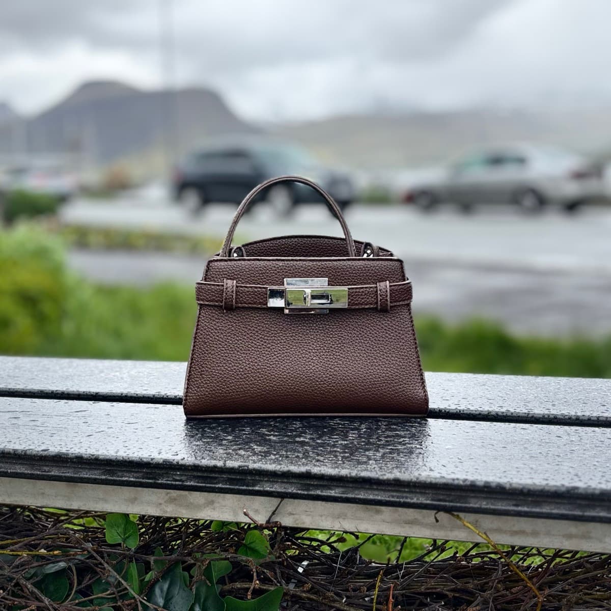 Lítil handtaska / Handbag / Veski