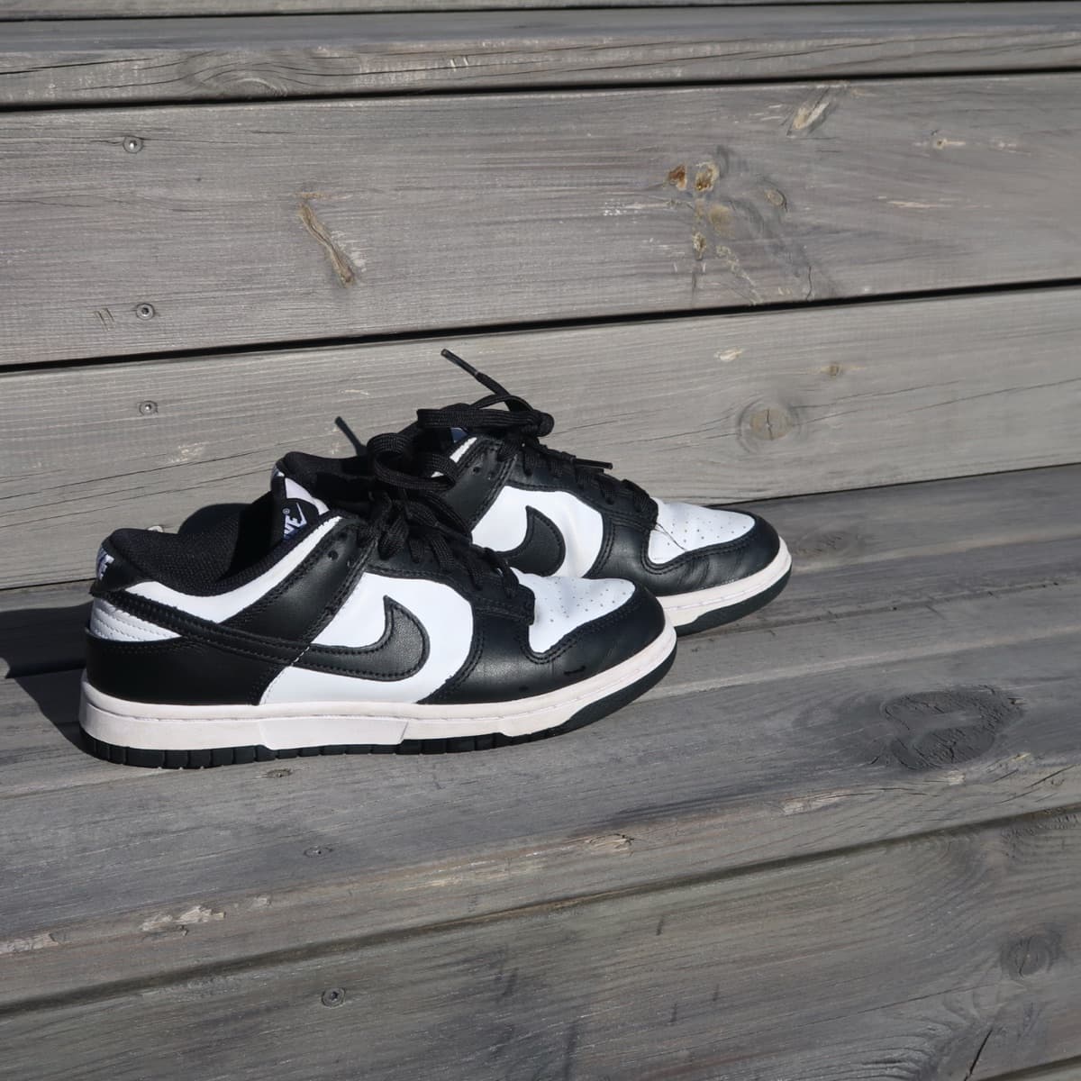 Nike Dunk Low