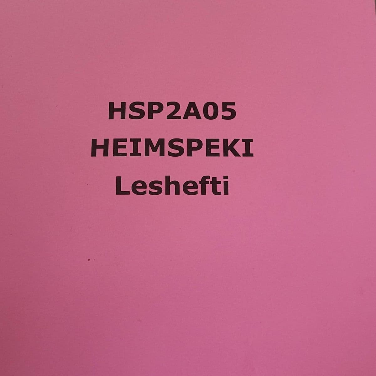 Heimspeki leshefti HSP2A05