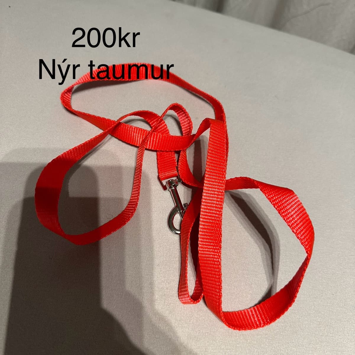 Beisli og taumar