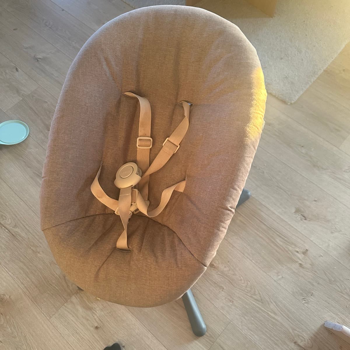 Nomi ungbarnasæti