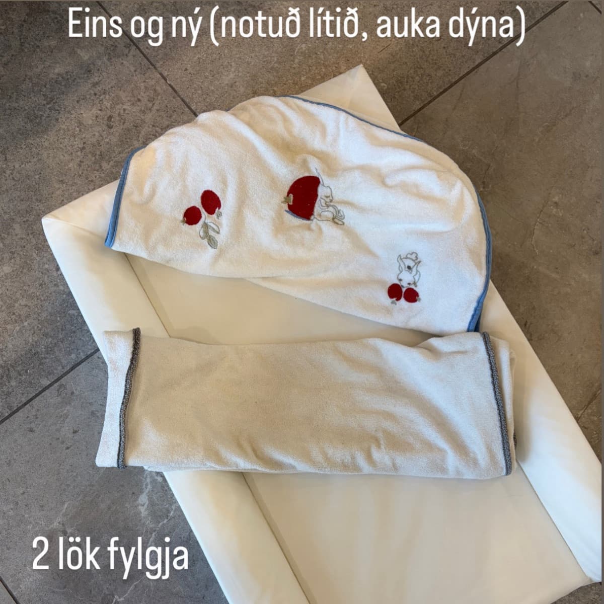 Skiptidýna