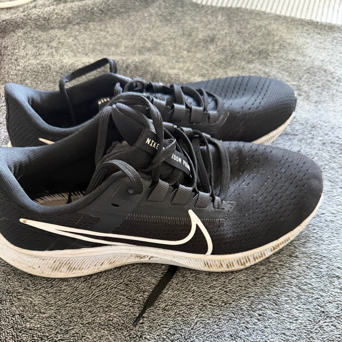 Nike Air Zoom Pegasus