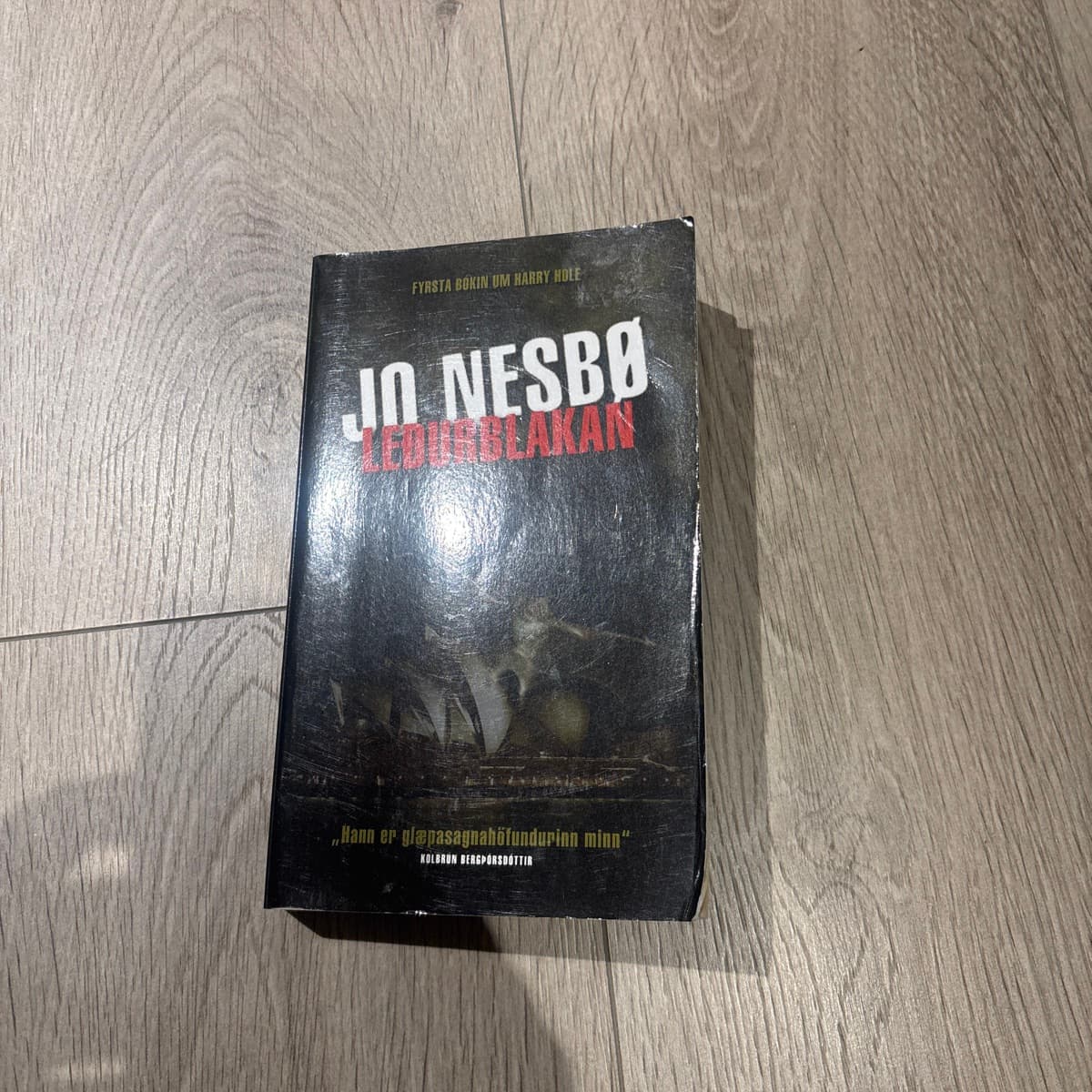 Jo Nesbø - Leðurblakan