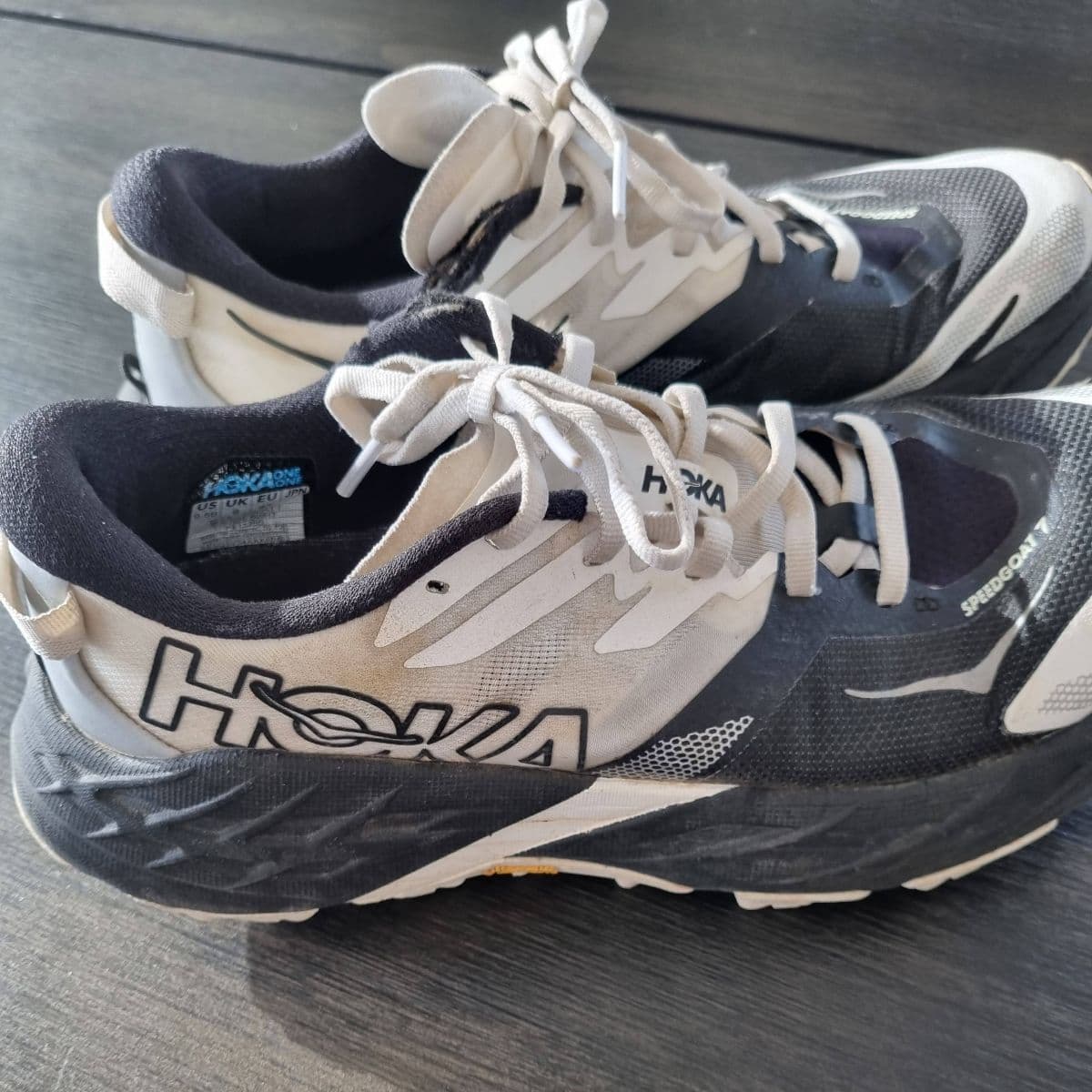 Hoka Speedgoat 5