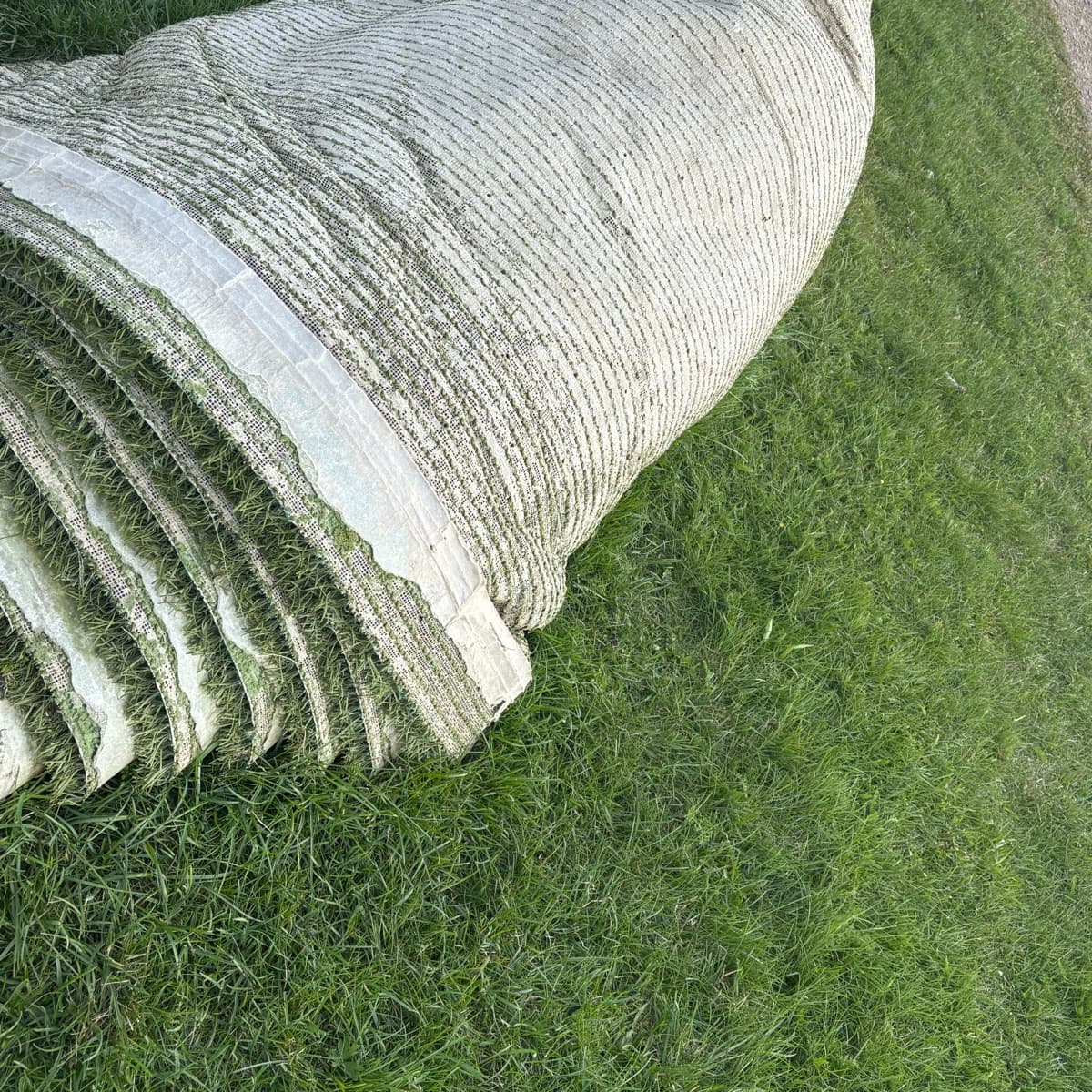 Gervigras í rúllu