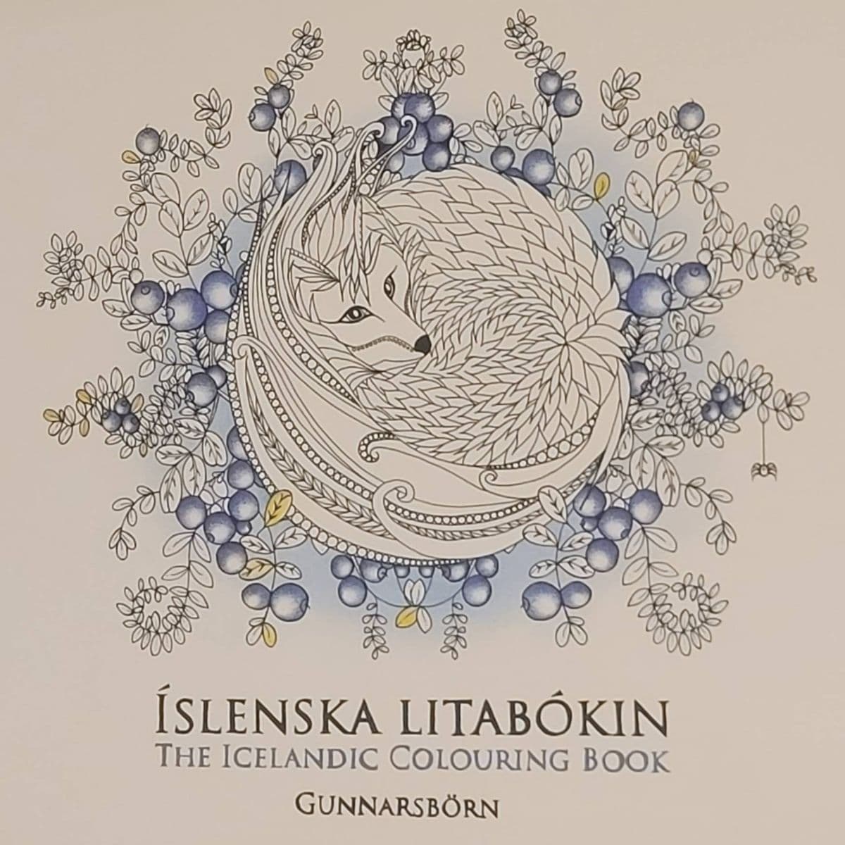 Íslenska litabókin