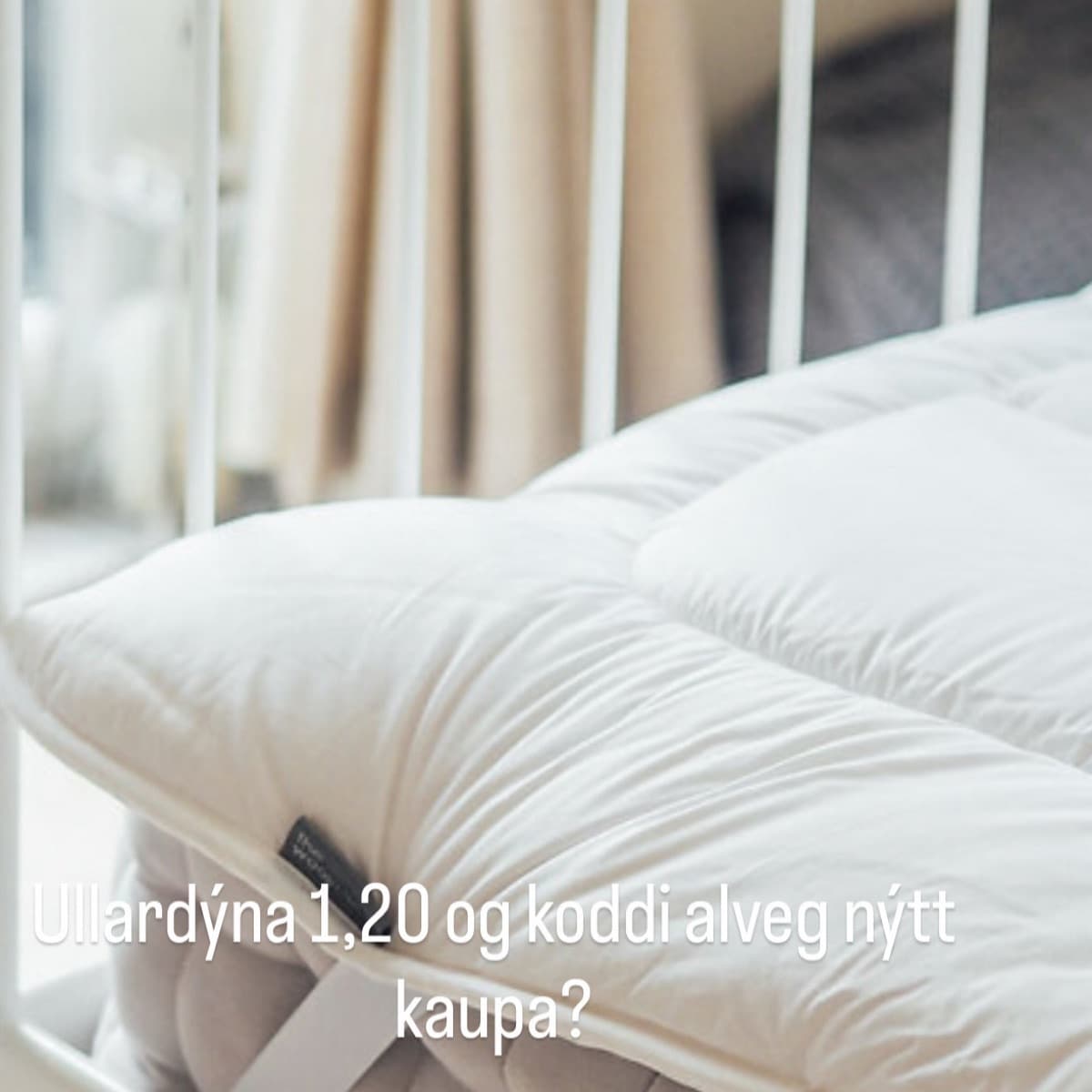 Ullardýna og koddi