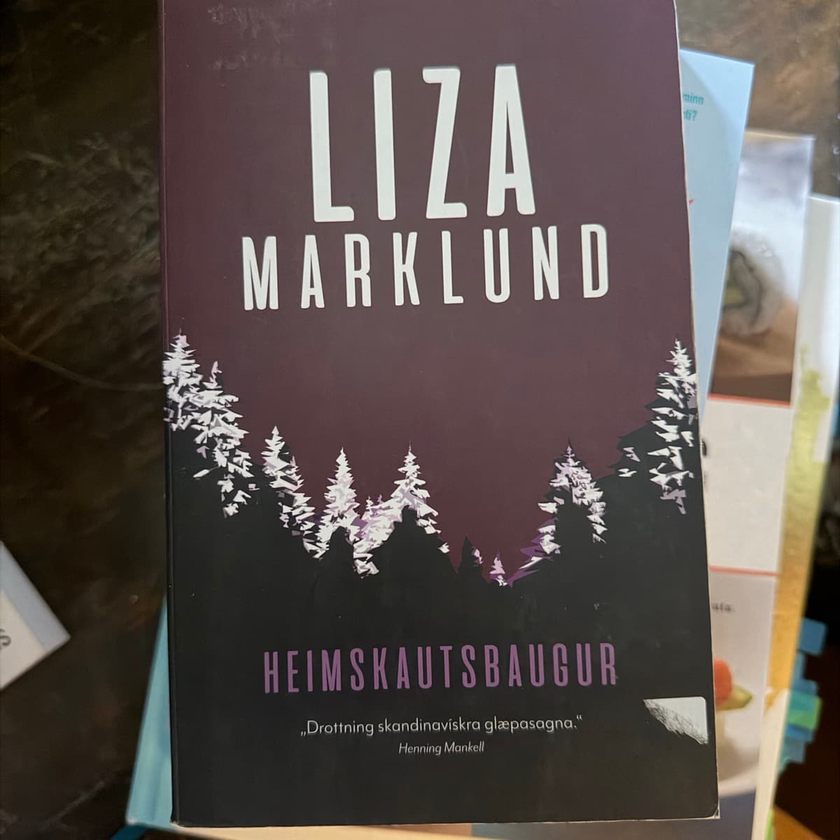 Heimskautsbaugur eftir Liza Marklund